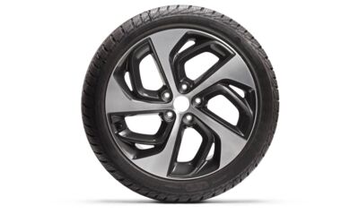 AdobeStock_684360587